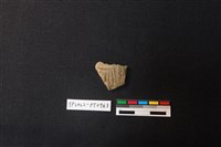 藏品(陶片)的圖片