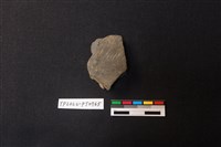 藏品(陶片)的圖片