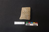 藏品(陶片)的圖片