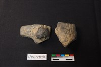 藏品(陶片)的圖片