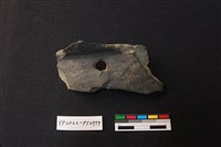 藏品(陶片)的圖片