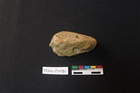 藏品(陶片)的圖片