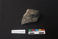 藏品(陶片)的圖片