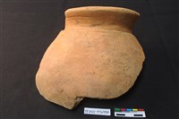 藏品(陶片)的圖片