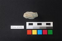 藏品(陶片)的圖片