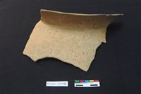 藏品(陶片)的圖片