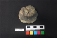 藏品(蓋鈕)的圖片