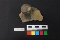 藏品(蓋鈕)的圖片