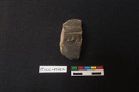 藏品(陶片)的圖片