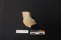 藏品(陶片)的圖片