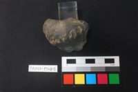 藏品(陶鈕)的圖片