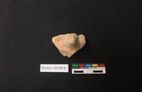 藏品(陶片)的圖片