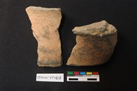 藏品(陶片)的圖片