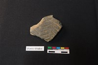 藏品(陶片)的圖片