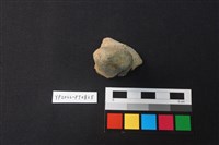 藏品(陶鈕)的圖片