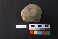 藏品(陶鈕)的圖片