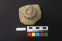 藏品(蓋鈕)的圖片