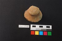 藏品(蓋鈕)的圖片