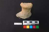 藏品(蓋鈕)的圖片