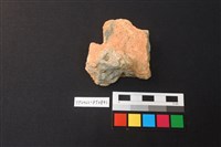 藏品(蓋鈕)的圖片