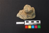 藏品(蓋鈕)的圖片