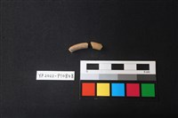 藏品(陶環)的圖片