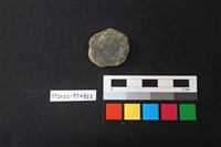 藏品(小圓片)的圖片