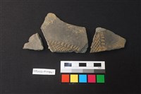 藏品(陶片)的圖片