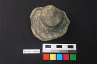 藏品(蓋鈕)的圖片