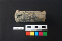 藏品(獸形陶足)的圖片