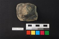 藏品(陶蓋鈕)的圖片