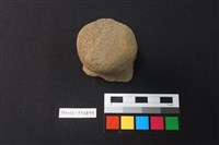 藏品(陶鈕)的圖片