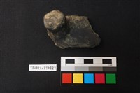 藏品(陶蓋鈕)的圖片