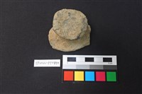 藏品(陶鈕)的圖片