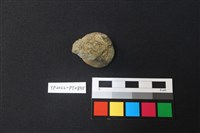 藏品(陶鈕)的圖片