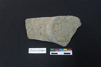 藏品(陶片)的圖片