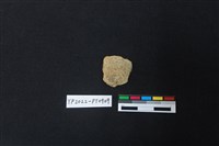 藏品(陶片)的圖片