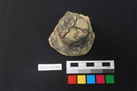 藏品(陶蓋鈕)的圖片