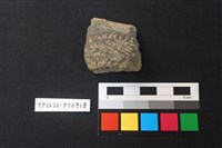 藏品(陶片)的圖片