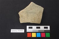 藏品(陶片)的圖片