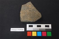 藏品(陶片)的圖片