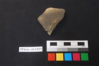 藏品(陶片)的圖片