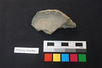 藏品(陶片)的圖片