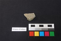 藏品(陶片)的圖片