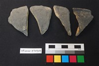 藏品(陶片)的圖片