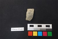 藏品(陶片)的圖片