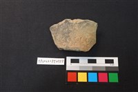 藏品(陶片)的圖片