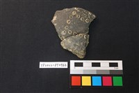 藏品(陶片)的圖片