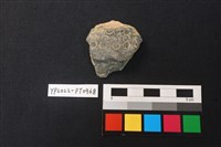 藏品(陶片)的圖片