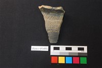 藏品(陶片)的圖片